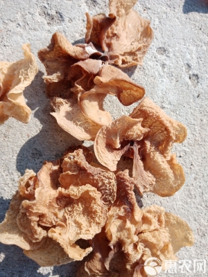 赤峰批發(fā)羊肚電話號(hào)碼多少-第1張圖片