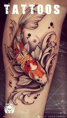 赤峰錦鯉紋身店電話多少號(hào)-第1張圖片