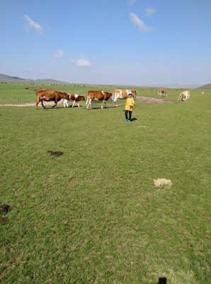 赤峰奧申早教中心電話號(hào)碼-第1張圖片