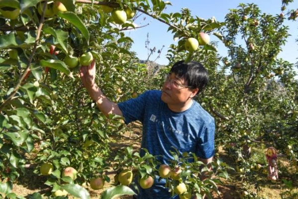 赤峰寧城小城子物流電話號碼-第1張圖片