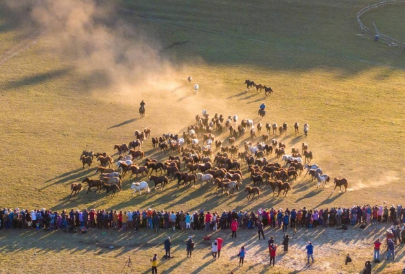 赤峰雙通駕校電話號碼查詢-第1張圖片