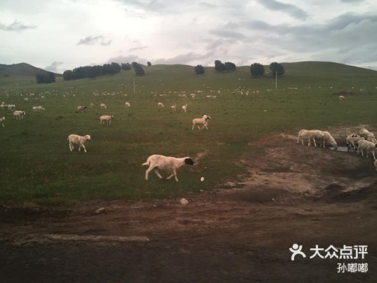 赤峰騎馬團購附近店鋪電話號碼-第1張圖片