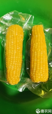 赤峰鮮食玉米廠家地址電話號碼-第1張圖片