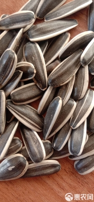 赤峰賣葵花籽的電話號(hào)碼-第1張圖片