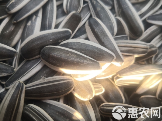 赤峰瓜子晾曬機(jī)廠家電話號(hào)碼-第1張圖片