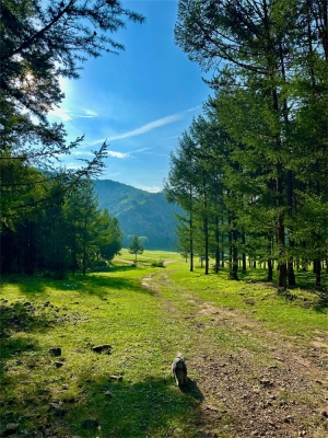赤峰達(dá)里湖星空酒店電話號(hào)碼-第1張圖片