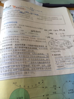 赤峰紅旗中學圖書館電話號碼-第1張圖片