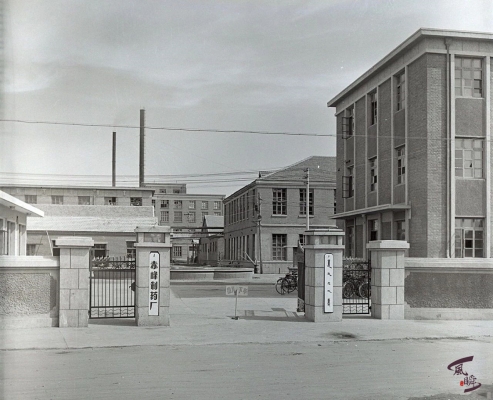 赤峰紅木牛飼料廠電話號碼-第1張圖片