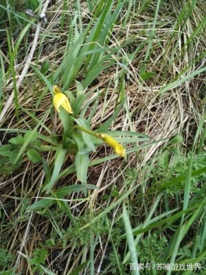 赤峰綠色干洗店加盟電話號(hào)碼-第1張圖片