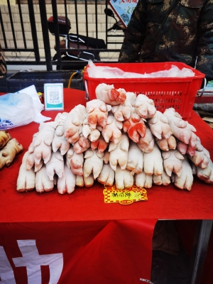 赤峰水母擺攤電話多少號碼-第1張圖片