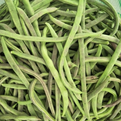 赤峰袋裝奶粉批發(fā)廠家電話號碼-第1張圖片