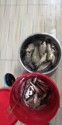 赤峰鑫晟釣具電話多少號(hào)-第1張圖片