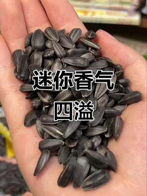 內(nèi)蒙赤峰收瓜子電話號碼是多少-第1張圖片