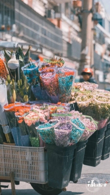 赤峰賣(mài)花小攤電話號(hào)碼多少號(hào)-第1張圖片