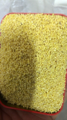 赤峰閑鉆回收電話是多少號-第1張圖片