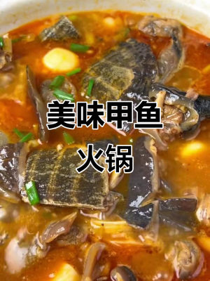 赤峰甲魚火鍋店地址電話號碼-第1張圖片