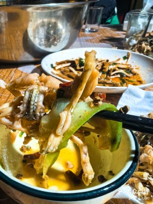 赤峰地?cái)傊蟠甑刂冯娫捥?hào)碼-第1張圖片