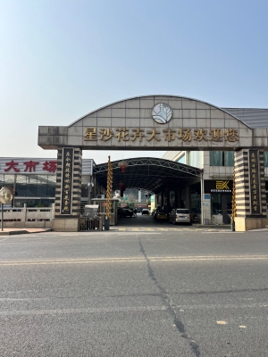 赤峰綠植批發(fā)市場-第1張圖片