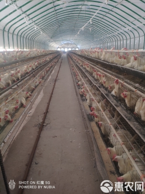 內(nèi)蒙古赤峰市養(yǎng)殖場(chǎng)-第1張圖片