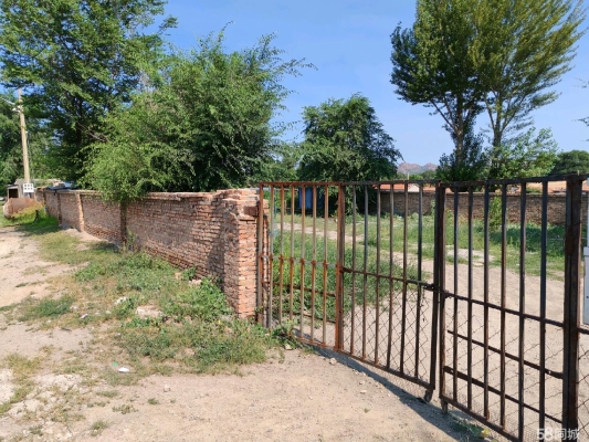 赤峰出售肉狗電話號(hào)碼是多少-第1張圖片