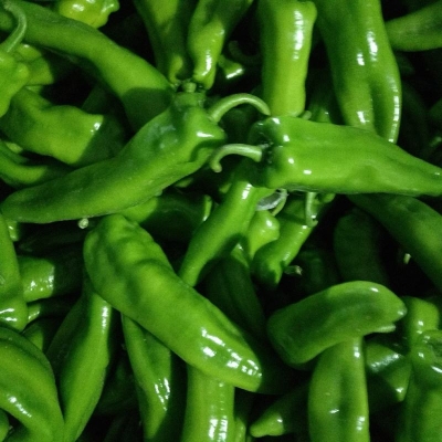 赤峰辣椒代收電話號碼查詢是多少-第1張圖片