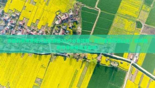 赤峰大坑菜市場(chǎng)電話地址查詢-第1張圖片