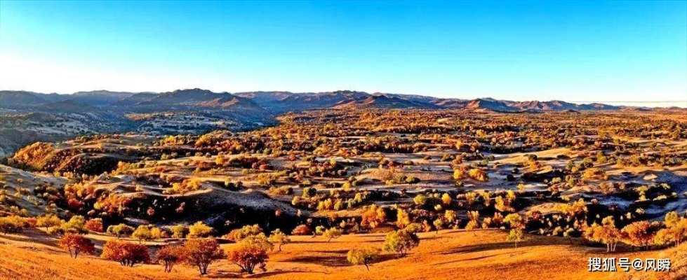 赤峰樹云農(nóng)家院電話號(hào)碼-第1張圖片