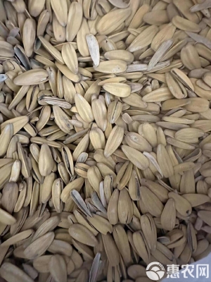 赤峰市收打瓜子電話號(hào)碼-第1張圖片