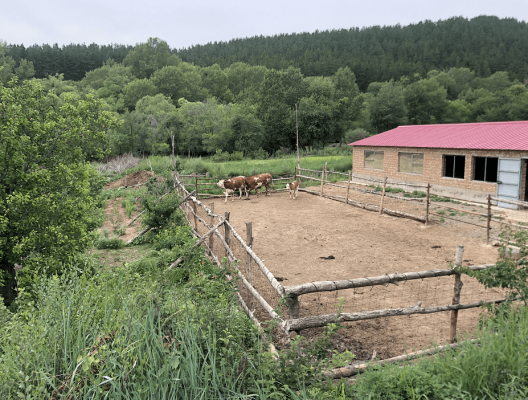 赤峰榮安養(yǎng)老院電話號(hào)碼-第1張圖片