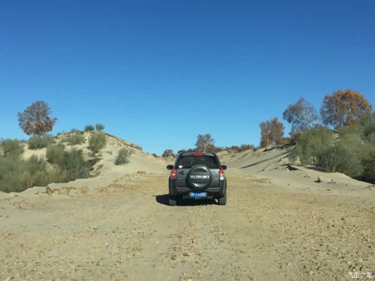 赤峰超級(jí)維特拉自動(dòng)售后電話號(hào)碼-第1張圖片