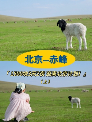 赤峰騎士汽車租賃電話號(hào)碼查詢-第1張圖片