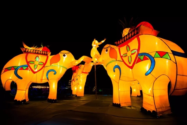 赤峰紅山夢幻樂園電話多少號-第1張圖片