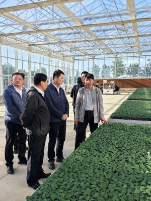 赤峰寧城縣骨科醫(yī)院電話號碼-第1張圖片