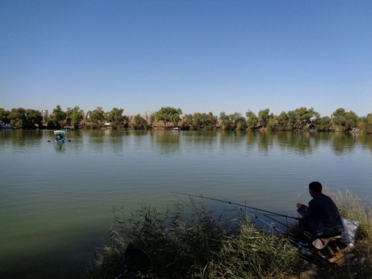 赤峰紅山老頭電話號(hào)碼查詢是多少-第1張圖片
