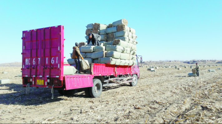 赤峰飼料批發(fā)零售電話號(hào)碼-第1張圖片