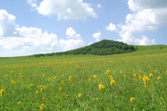 赤峰途遠(yuǎn)汽修廠電話號碼-第1張圖片