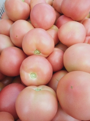 赤峰林西果園電話多少號(hào)-第1張圖片