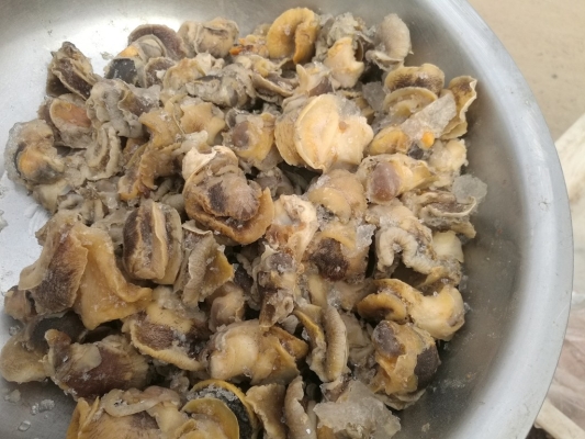 赤峰趕集買(mǎi)肉電話(huà)是多少號(hào)-第1張圖片