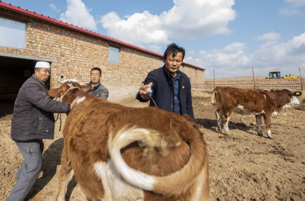 赤峰軍威養(yǎng)牛場(chǎng)電話地址查詢-第1張圖片