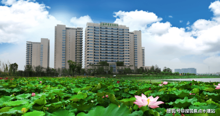 赤峰楓林臺球廳電話地址查詢-第1張圖片