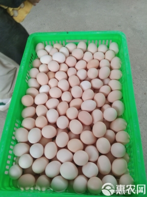 赤峰批發(fā)雞蛋電話多少啊-第1張圖片