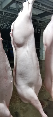 赤峰白條豬肉批發(fā)電話號(hào)碼-第1張圖片