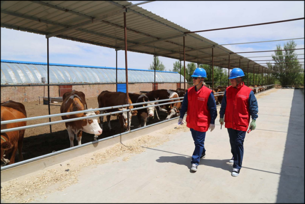 赤峰市電業(yè)局電話號碼-第1張圖片