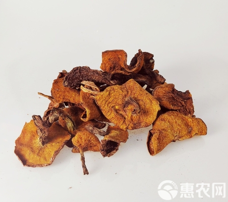 內(nèi)蒙赤峰松蘑種植基地電話號碼-第1張圖片