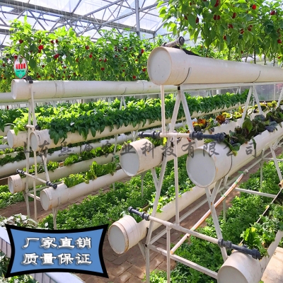 赤峰基質(zhì)栽培有限公司電話號(hào)碼-第1張圖片