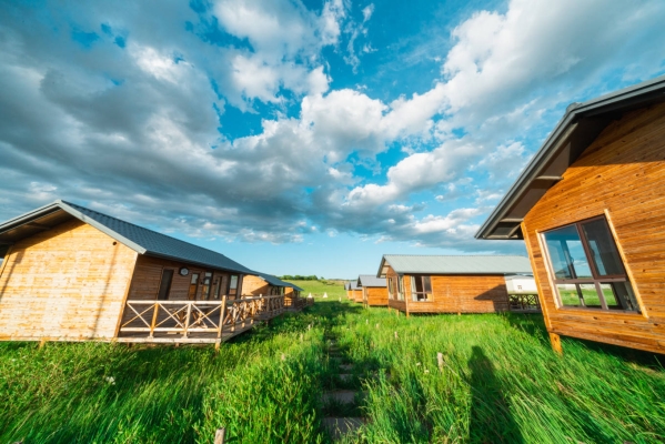 赤峰進口牛羊養(yǎng)殖基地電話號碼-第1張圖片