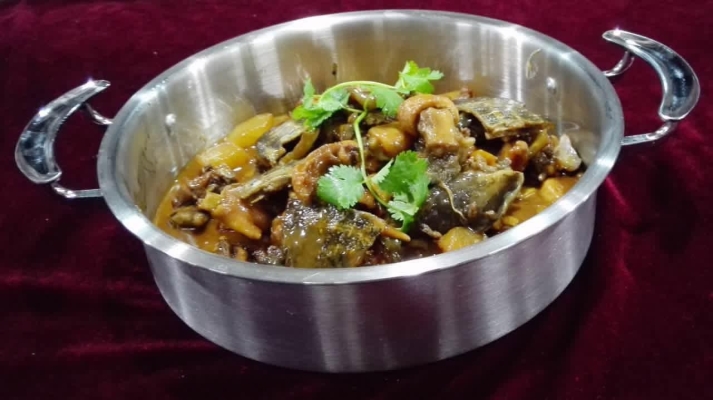 赤峰甲魚附近團(tuán)購(gòu)電話地址查詢-第1張圖片