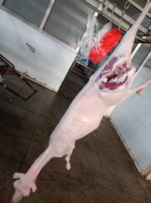 內(nèi)蒙古赤峰牛羊收購(gòu)電話號(hào)碼-第1張圖片