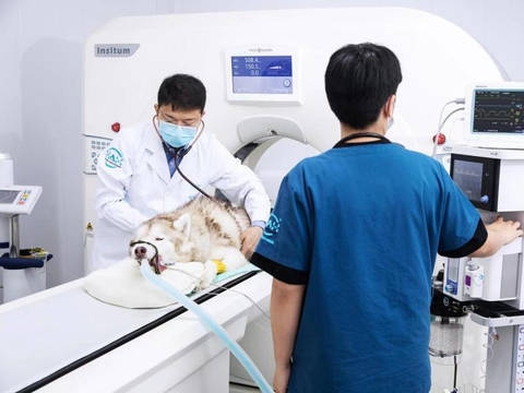 赤峰萌寵互動館電話地址查詢-第1張圖片