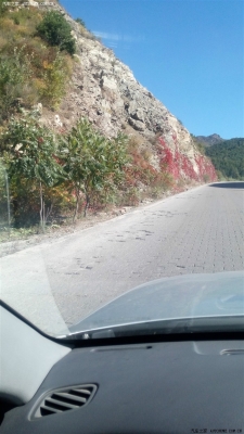 沈陽至赤峰托運(yùn)部電話號(hào)碼-第1張圖片